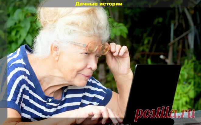 Вступившие в силу и важные изменения в законах касающиеся дачников в 2021 году | Дачные истории | Яндекс Дзен