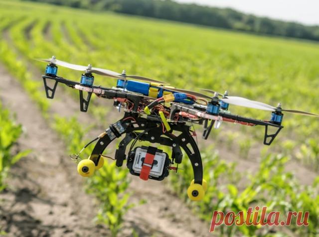 Дрони в сільському господарстві — Последние новости Украины и мира vremya.eu
