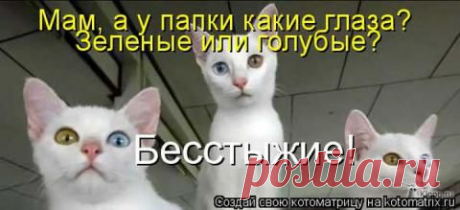 Котоматричная подборка | Prikolisti.com