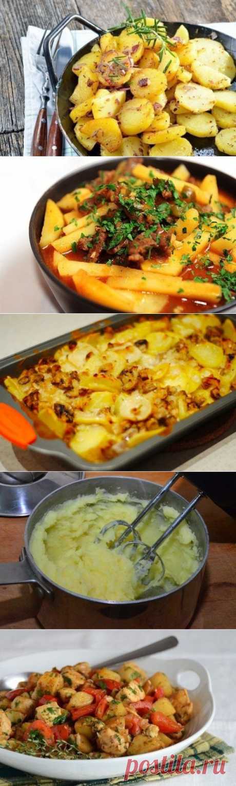 8 советов для приготовления вкусного картофеля