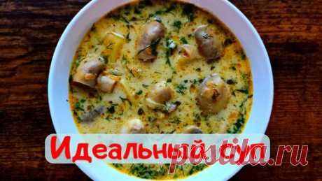 Очень вкусный сливочный суп с грибами шампиньонами | Vkusnoff | Дзен
