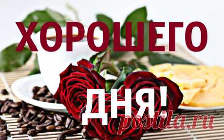 Rutube Студия