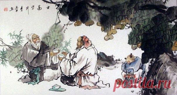 Айболит | Группы Мой Мир