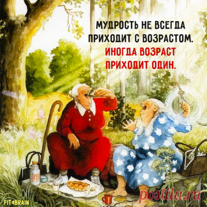 Золотые слова ☝ 😂