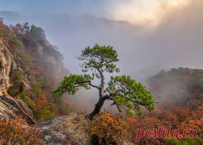 Jaeyoun Ryu - профессиональный фотограф