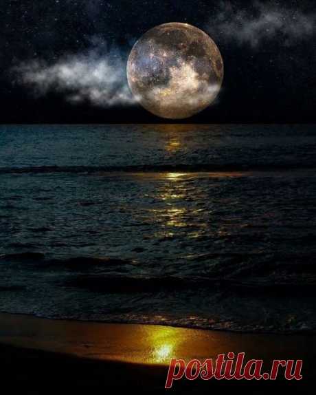World¶dise — rime-s: rime_s.tumblr.com