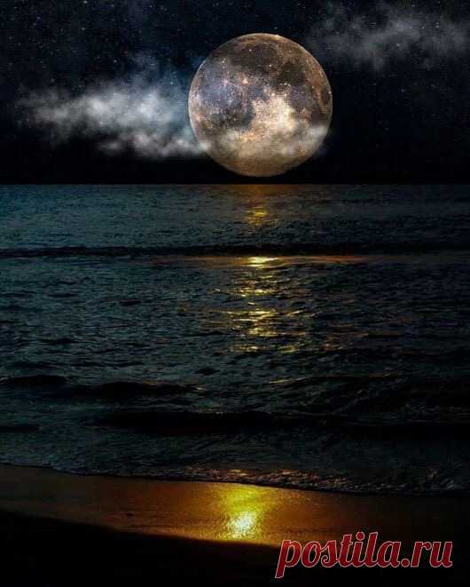 World¶dise — rime-s: rime_s.tumblr.com