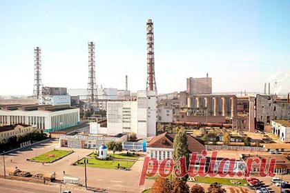 Минобороны прокомментировало утечку аммиака в Сумах. Украинские националисты устроили провокацию в городе Сумы, где на заводе «Сумыхимпром» произошла утечка аммиака. Об этом журналистам сообщил официальный представитель Минобороны России генерал-майор Игорь Конашенков. По данным ведомства, националисты планировали обвинить Россию в якобы применении «химического оружия».