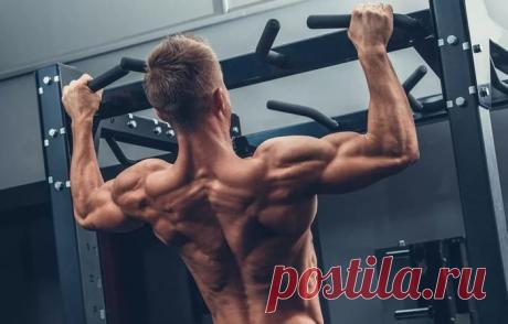 Лучшие упражнения для мышц спины или как накачать спину