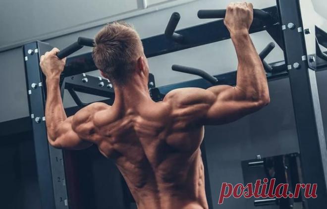 Лучшие упражнения для мышц спины или как накачать спину