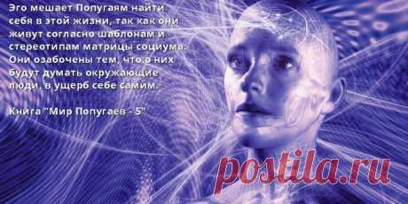 Стереотипы и Эгоизм - »