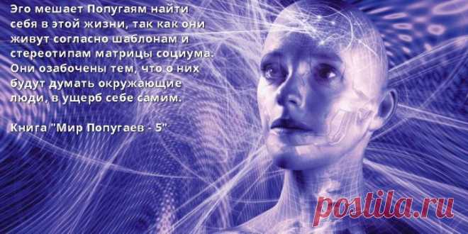 Стереотипы и Эгоизм - »