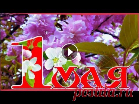 С 1 МАЯ! Шуточное поздравление с первомаем! Мир, труд, май! [С первым мая 2021] Автор музыки - Сергей Чекалин. С 1 МАЯ! Шуточное поздравление с первомаем! Мир, труд, май! [С первым мая 2021] С первомаем с весенним праздником! Перв...