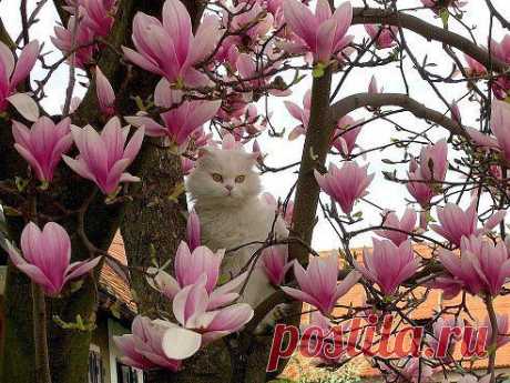 ♥ℓo√ﻉ♥ツЛорик ツ♥ℓo√ﻉ♥
Редкой красоты кадр!!!)))