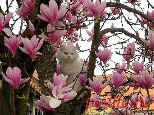 ♥ℓo√ﻉ♥ツЛорик ツ♥ℓo√ﻉ♥
Редкой красоты кадр!!!)))