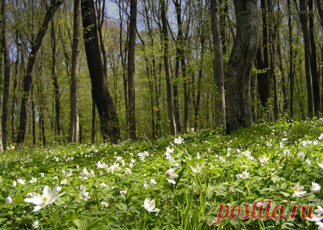 98286448_large_1308381121_75172400_large_25_resize.jpg (780×555)