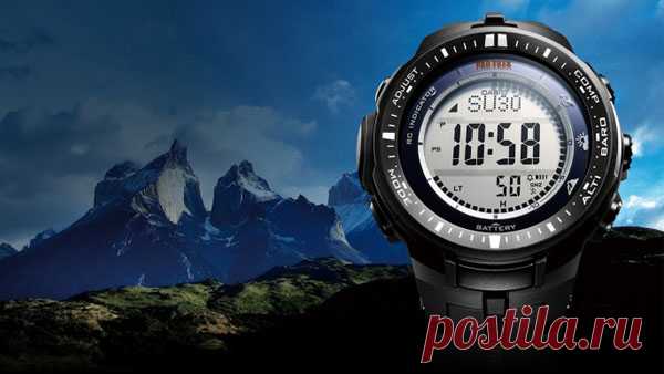 Наручные часы Casio. Оригиналы. Выгодные цены. – купить в Bestwatch.ru