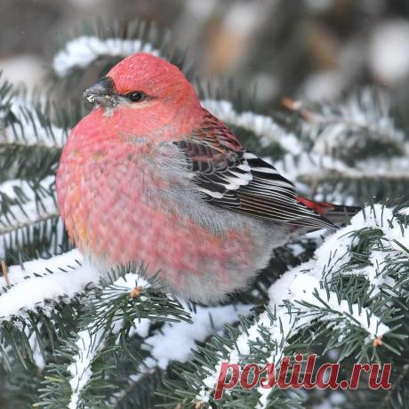 Библия┃Викторина "СЛОВО во мне"