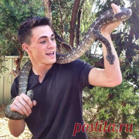 Колтон Хейнс