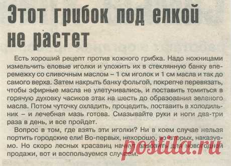 Хвоя от кожного грибка