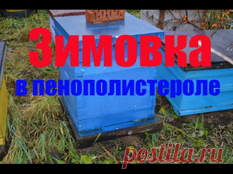 Зимовка пчел в пенополистирольных рутовских ульях у Дмитрия Александровича. Beekeeping.