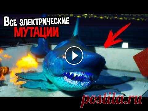 БИОЭЛЕКТРИЧЕСКАЯ АКУЛА НАБРАЛА МАКСИМАЛЬНЫЙ ВЕС ( Maneater ) Самая опасная акула на земле Лайки совершенно бесплатные ))) Хорошего дня и счастья вам ! Играть бесплатно ( для слабых пк, онлайн ) в Maneater На кан...