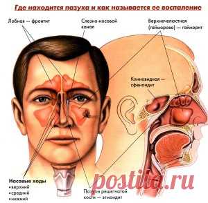 Новости - МирТесен