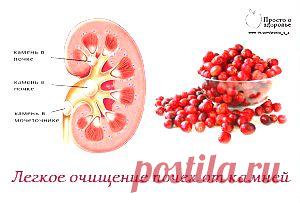 Как очистить почки от камней? – уникальный рецепт! Необходимо измельчить с помощью блендера или мясорубки стакан ягод клюквы, головку чеснока и лимон (при желании приготовить большее количество всегда сохраняем пропорцию 1:1:1), после чего растворяем полученную смесь в 500 мл медовой воды.