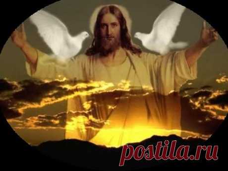 Плейкаст «Может пора уже остановиться.»