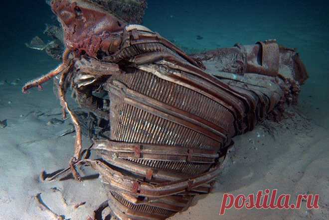 10 удивительных находок с морского дна / Научный хит