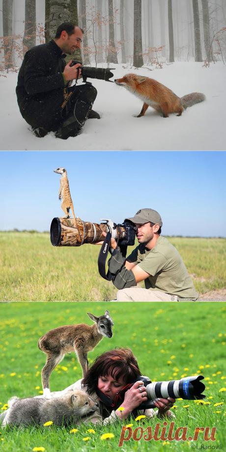 20+ Reasons Why Being A Nature Photographer Is The Best Job In The World | Bored Panda