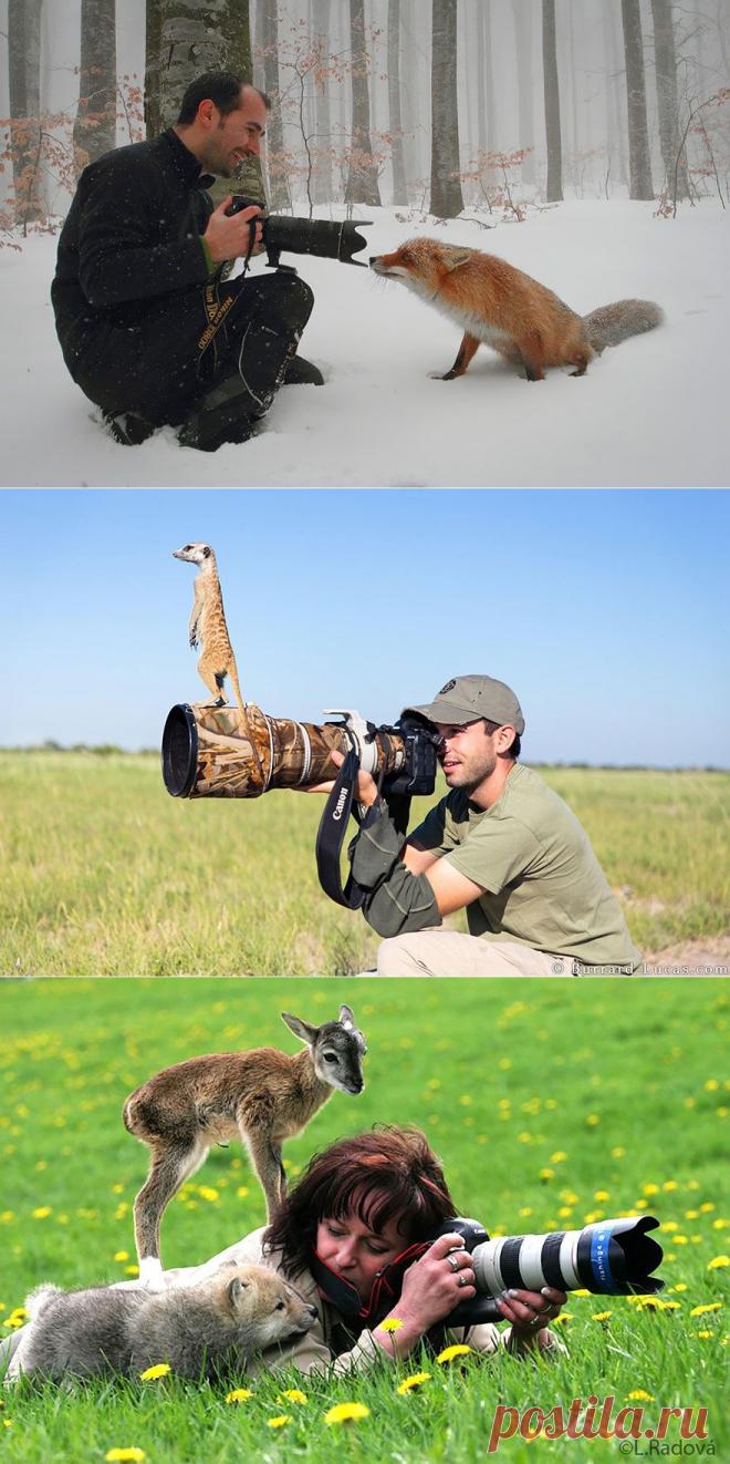 20+ Reasons Why Being A Nature Photographer Is The Best Job In The World | Bored Panda