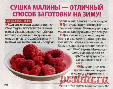 Сушка малины на зиму