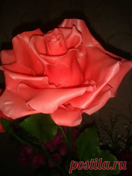 Фотографии Любы Назаровой – 8 альбомов