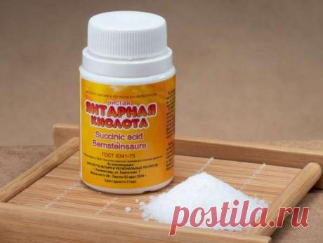 Янтарная кислота: как она влияет на растения и как правильно ее использовать — Домашние заботы