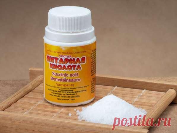 Янтарная кислота: как она влияет на растения и как правильно ее использовать — Домашние заботы