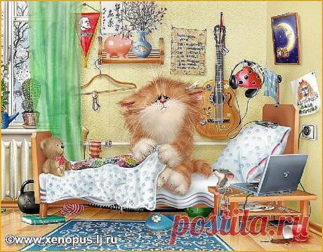 Кошачий позитифффф | Aleksey Dolotov.