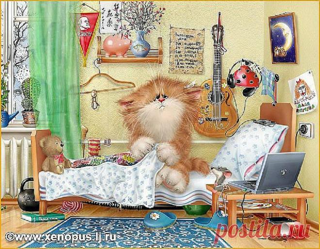 Кошачий позитифффф | Aleksey Dolotov.