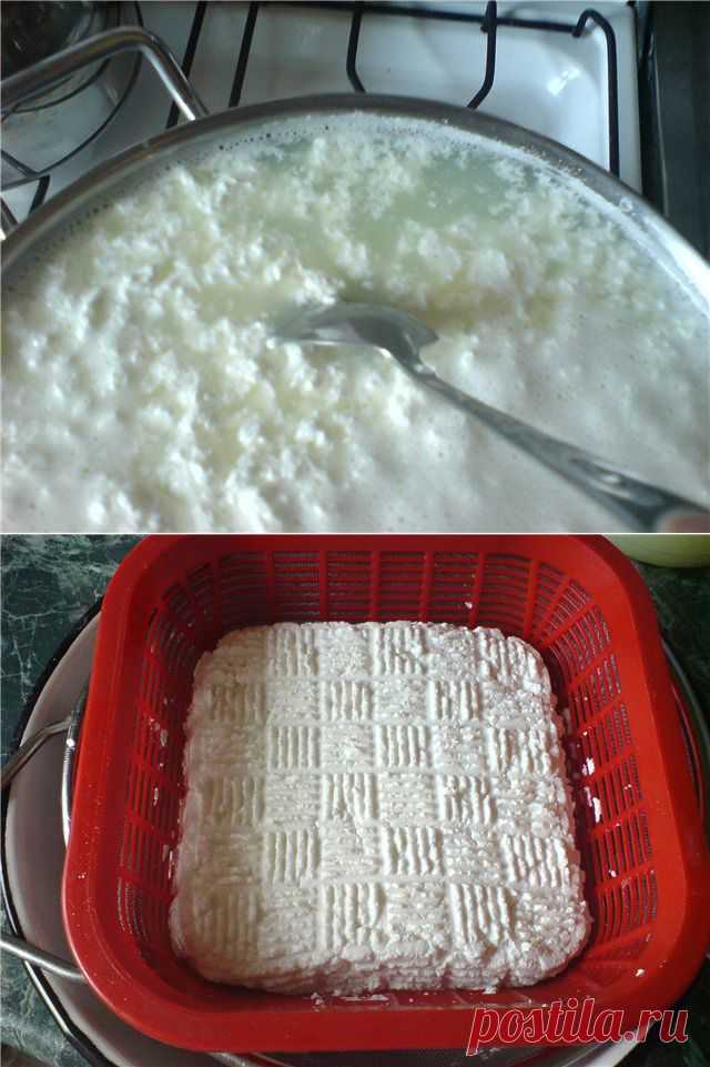 Кулинария Адыгейский сыр