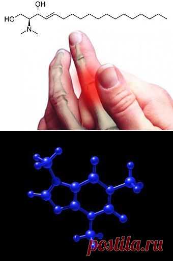 Блоги@Mail.Ru: Ученые обнаружили молекулу хронической боли