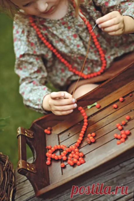 Рябиновые бусы. - Познавательный сайт ,,1000 мелочей" - медиаплатформа МирТесен