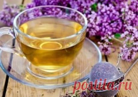 Какие травы пить при климаксе от приливов для облегчения состояния