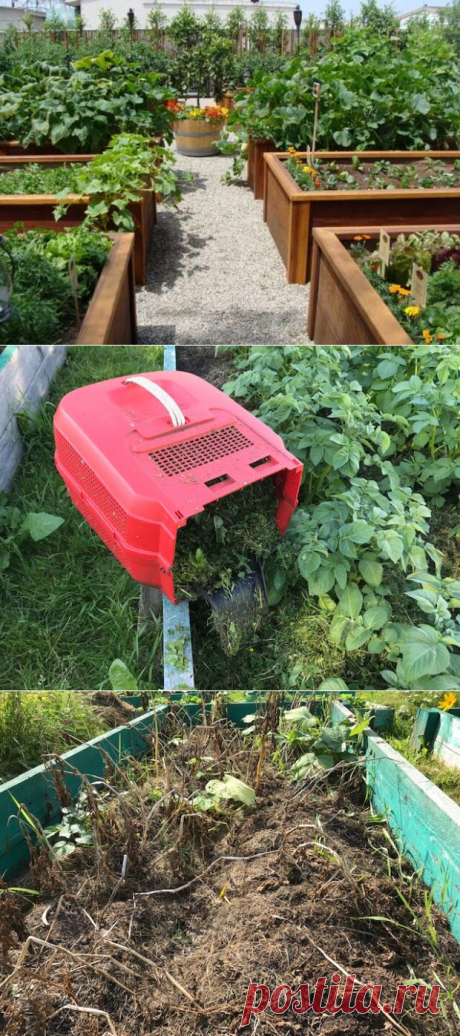 Чем заполнить высокие грядки, если нет земли и компоста - медиаплатформа МирТесен