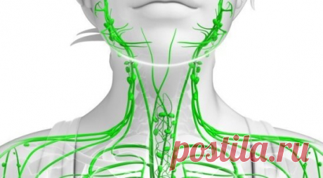 Лимфаденит: 80% того, что мы делаем, вредит нашему здоровью.
В нашем организме протекают две реки жизни, очень тесно связанные между собой, но, тем не менее, вполне себе автономные.