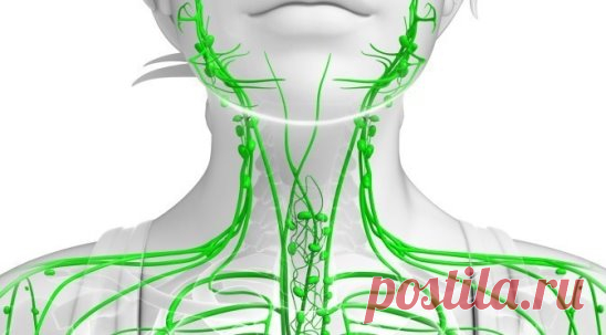 Лимфаденит: 80% того, что мы делаем, вредит нашему здоровью. 
В нашем организме протекают две реки жизни, очень тесно связанные между собой, но, тем не менее, вполне себе автономные.