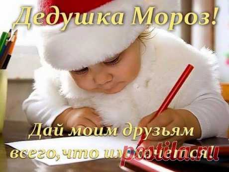 Новые фотографии
