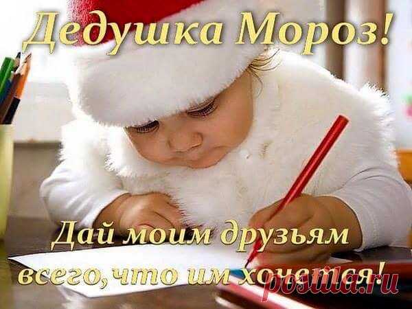 Новые фотографии