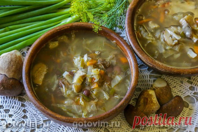 Щи летние с фасолью и белыми грибами. Рецепт с фото - Домашние рецепты приготовления вкусных блюд