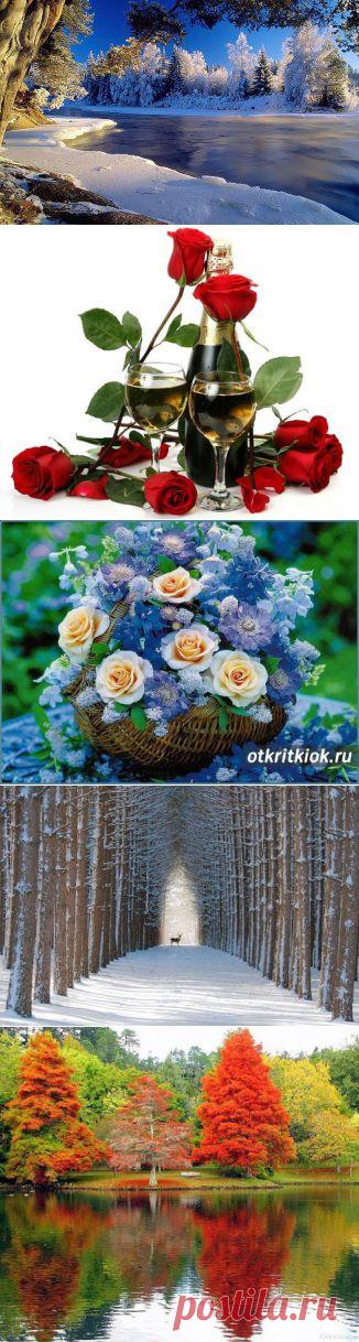 (17) Одноклассники