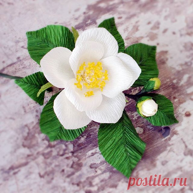 Waking up for another day is such a great blessing! Enjoy a sun-kissed Thursday. #ThePaperblooms #paperflowerph #paperflowers